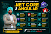 provide expert full stack dot net and angular developer