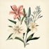 design botanical illustration art for you