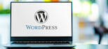 build wix website design, shopify website design, wordpress blog website