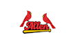 design high school baseball team logo