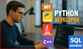 Python developer, java programming, sql database, python programming ...