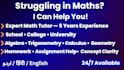 teach math, algebra and calculus from basic to advanced