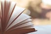 do book promotion on my blog