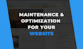 provide monthly wordpress care, optimization and security