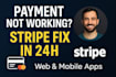 fix stripe checkout, payment, or subscription errors in 24h