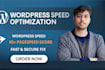 speed up your wordpress website
