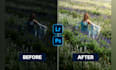 lightroom photo editing, wedding, color correction,photoshop