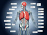 draw exercise, medical and anatomy illustrations
