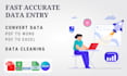convert data and data cleaning