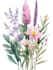 draw a botanical illustration