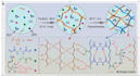 data analysis and draw illustrations for research publications