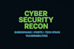 deep reconnaissance, subdomain enumeration and attack surface mapping