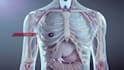 create 3d immunotherapy and cell therapy medical animation biotech moa