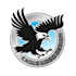 design a professional modern eagle logo