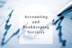 provide expert accounting bookkeeping audit support