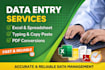 accurate data entry, copy paste, excel specialist