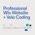 build a professional wix website with velo coding, API integration and database