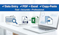 do accurate data entry, copy paste tasks and convert PDF to excel quickly