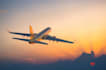 find you the cheapest flights