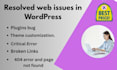 resolved web issues in wordpress