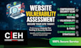 perform website security audit vulnerability scan