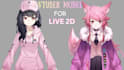 rig your 3d character model for vtuber or vrchat