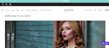 creative wordpress website design