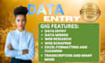 be you virtual assistant shopify expert manager marketing VA UK USA uae