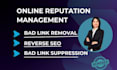 remove bad link, suppress negative google links, online reputation cleanup