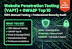 advanced owasp web app penetration testing vapt