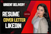 provide professional resume, CV writing service