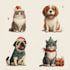 make a christmas pet portrait or illustration
