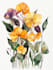 do realistic botanical illustration