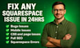 fix squarespace bugs plugins theme ccs issues carousel redesign squarespace