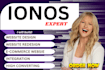 design, redesign or develop a professional ionos ecommerce webshop godaddy