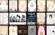 create indian wedding invitation video in 24 hours