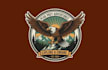 create wonderful style for eagle mascot logo design service