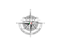 create high quality and beautiful compass logo design