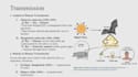 provide biomedical science research and presentation support