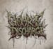 draw a custom  goregrind metal logo