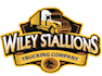design beautiful truck logo