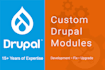 develop or fix custom drupal modules, hooks and integrations
