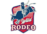 design wonderful rodeo logo