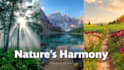 professional realistic digital landscapes for any project