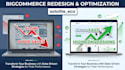 redesign and optimize your existing bigcommerce store for speed and sales