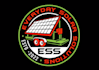 design excellent solar logo