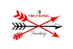 design wonderful trucking logo