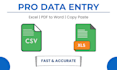 do data entry, typing work, copy paste, and PDF conversion