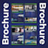 design a professional brochure