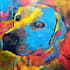 paint a pet oil painting on canvas with free shipping